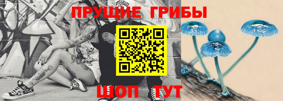 Галлюциногенные грибы Psilocybe  Вход с VPN  Тамбов 